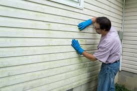 Affordable Siding Repair and Maintenance Services in Vienna Bend, LA